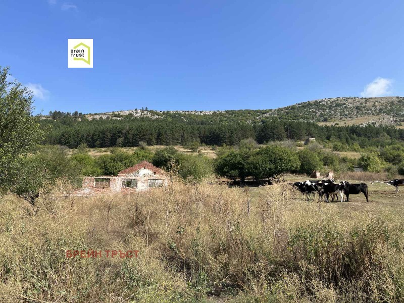 Продава ПАРЦЕЛ в област София, гр. Драгоман - 6909 кв.м / 105 000 € » 205 362.15 лв., БРЕЙН ТРЪСТ