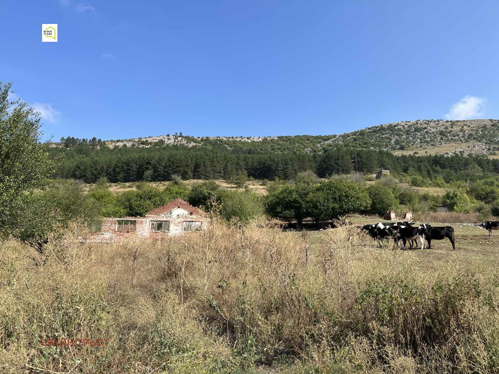 Продава ПАРЦЕЛ | Imot.bg — изображение 1