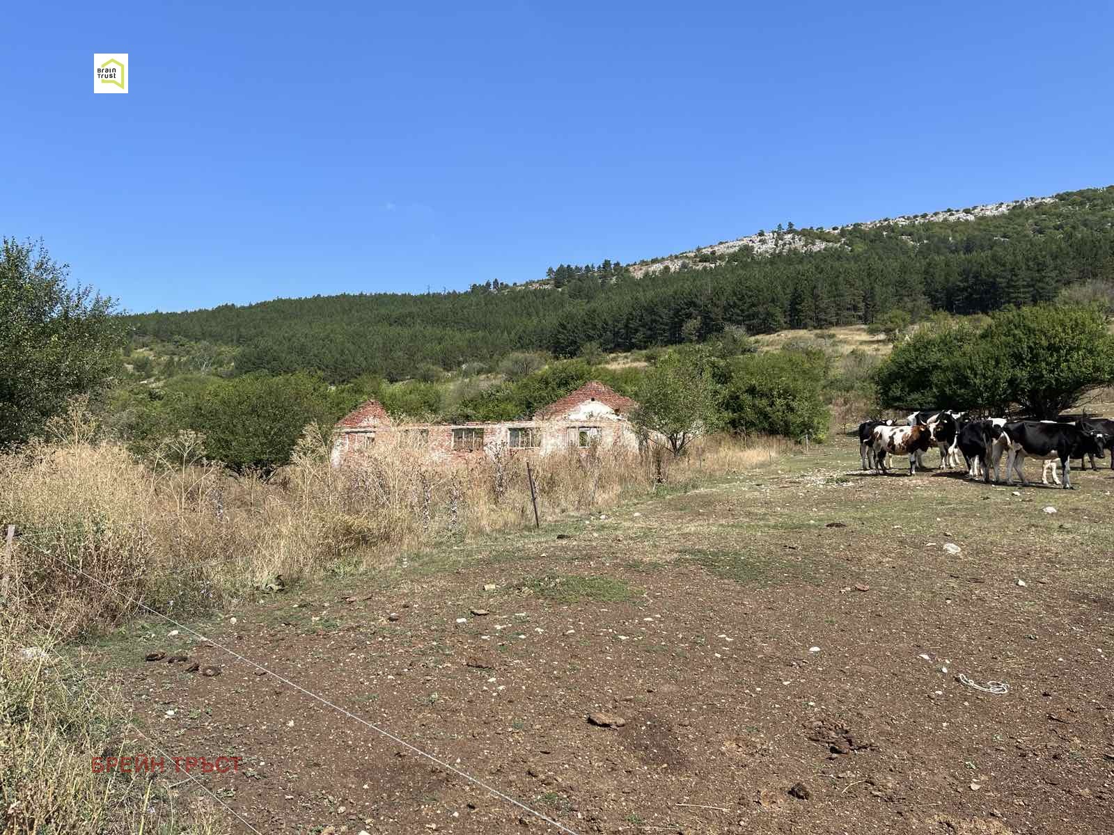 Продава ПАРЦЕЛ | Imot.bg — изображение 7