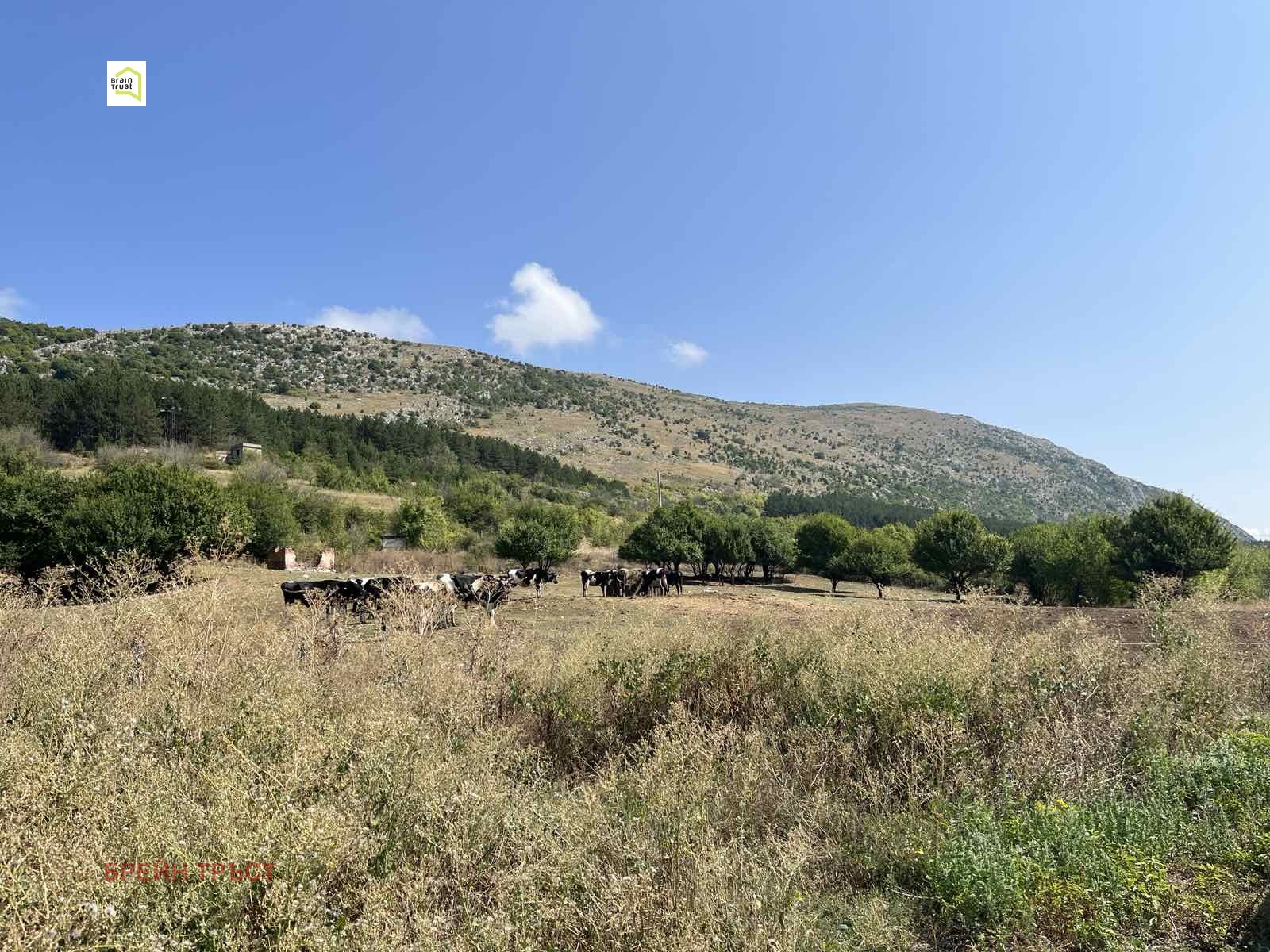 Продава ПАРЦЕЛ | Imot.bg — изображение 8