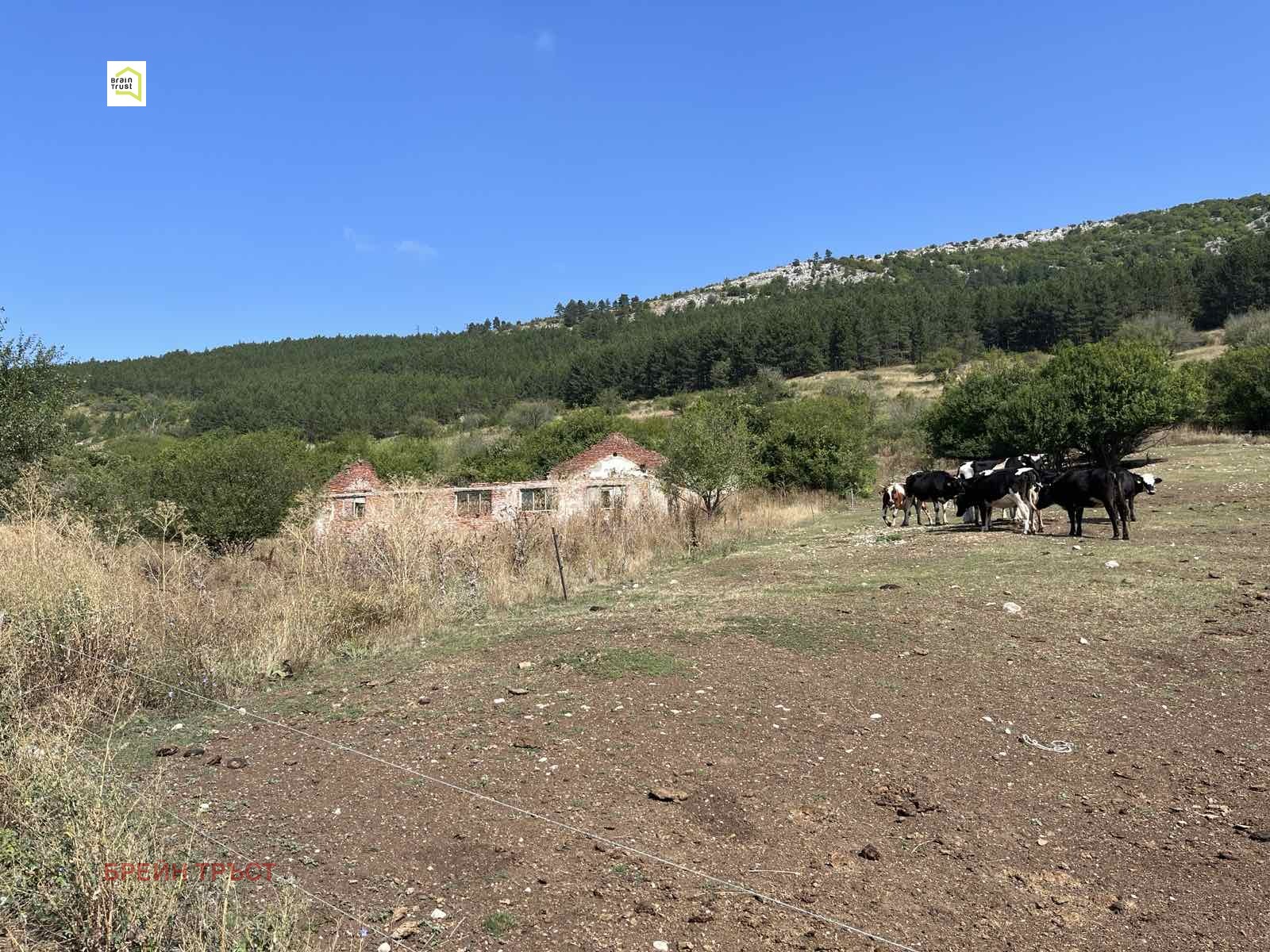 Продава ПАРЦЕЛ | Imot.bg — изображение 6