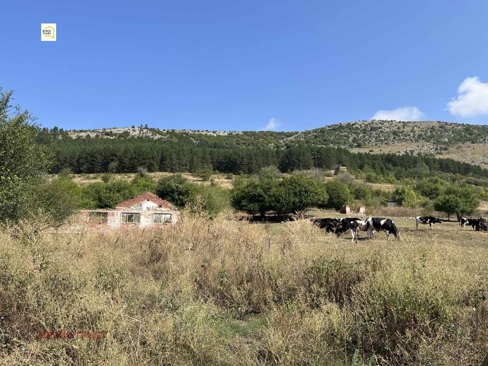 Продава ПАРЦЕЛ | Imot.bg — изображение 9