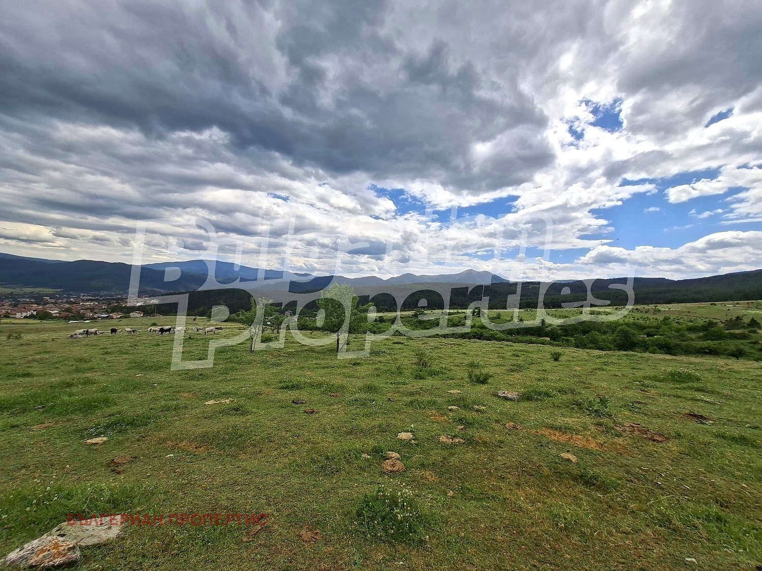 ������� ������ | Imot.bg � ����������� 5