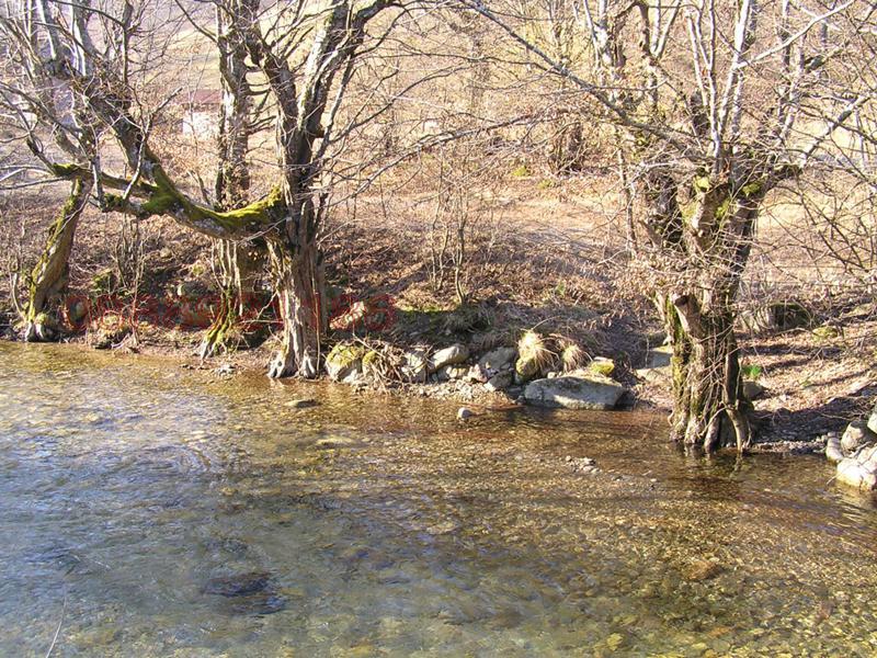 Продава ПАРЦЕЛ, с. Рибарица, област Ловеч, снимка 5 - Парцели - 52783949