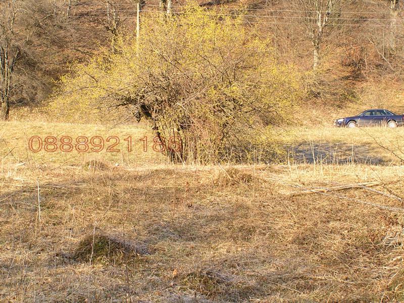 Продава ПАРЦЕЛ, с. Рибарица, област Ловеч, снимка 3 - Парцели - 52783949