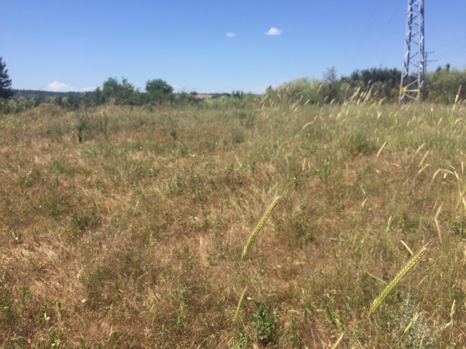 Продава ПАРЦЕЛ, гр. Харманли, област Хасково, снимка 3 - Парцели - 55059251