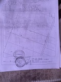 Продава  Земеделска земя област Пловдив , с. Отец Паисиево , 14 дка | 61038819 - изображение [7]