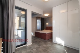 ����� ������� ����,���� ������, ��������