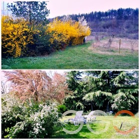 ������� ���� | Imot.bg � ����� ������ 9
