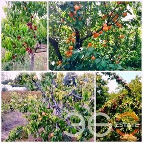 ������� ���� | Imot.bg � ����� ������ 7
