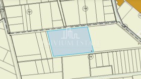 ����� ������� ������,���� �������, ����������� ����