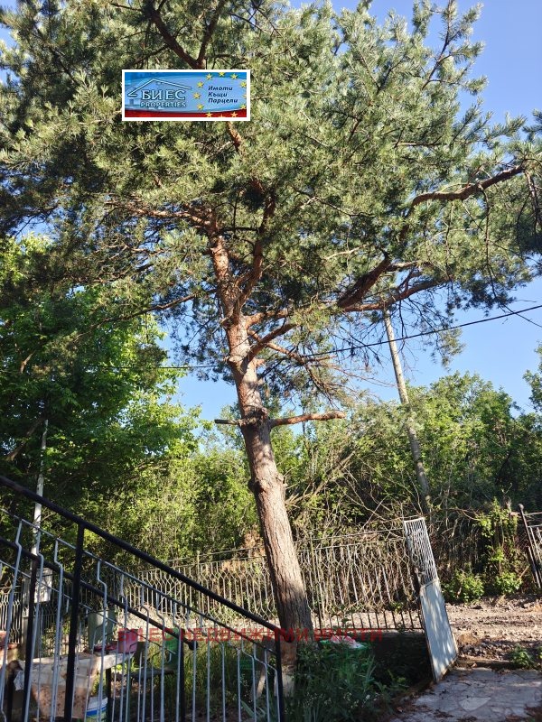 Продава КЪЩА, с. Борнарево, област Перник, снимка 5 - Къщи - 55782252