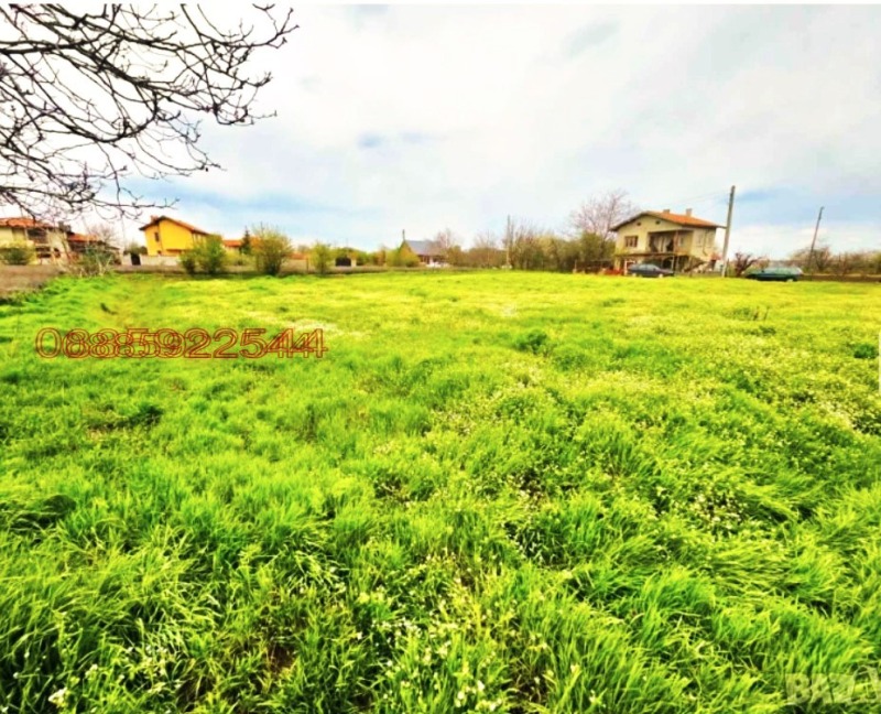 Продава ПАРЦЕЛ, с. Царичино, област Добрич, снимка 2 - Парцели - 53111079