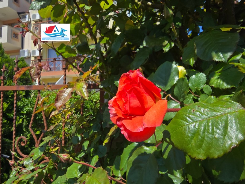 Til salg  Studie region Burgas , Sveti Vlas , 49 kvm | 98168834 - billede [17]