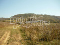 Продава ПАРЦЕЛ, с. Марян, област Велико Търново, снимка 5