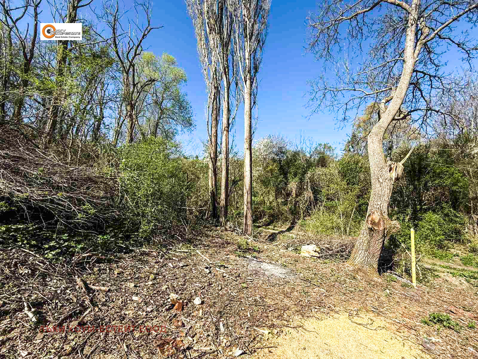 ������� ������ | Imot.bg � ����������� 7