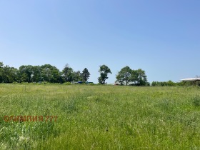 Plot Brestovets, region Pleven 2