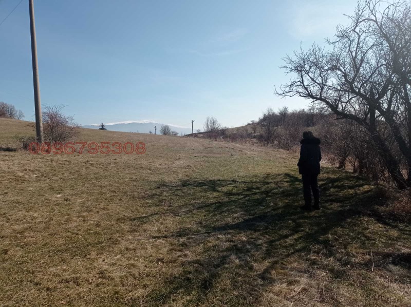 Продава ПАРЦЕЛ, с. Люлин, област Перник, снимка 5 - Парцели - 52779596