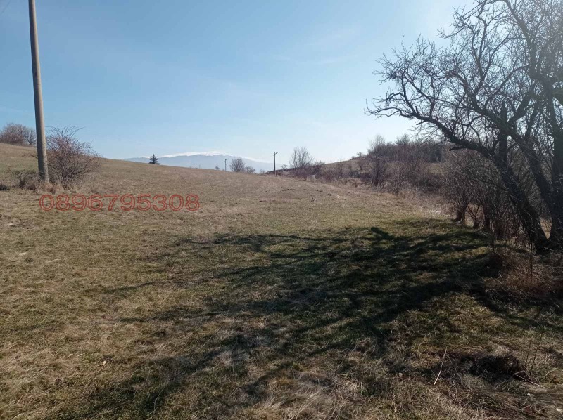 Продава ПАРЦЕЛ, с. Люлин, област Перник, снимка 3 - Парцели - 52779596