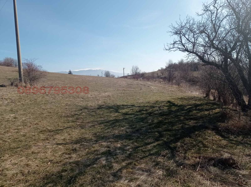 Продава ПАРЦЕЛ, с. Люлин, област Перник, снимка 4 - Парцели - 52779596