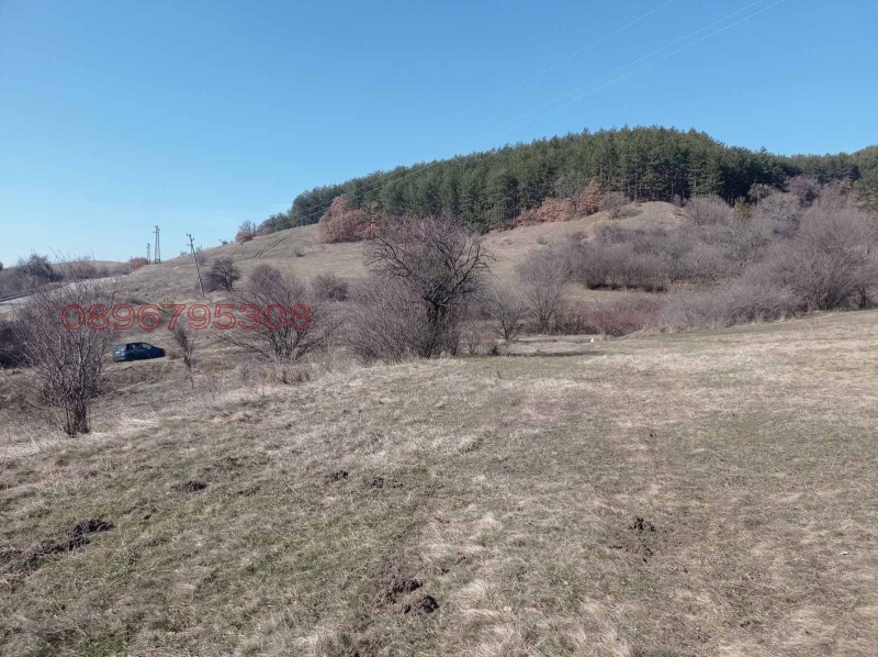 Продава ПАРЦЕЛ, с. Люлин, област Перник