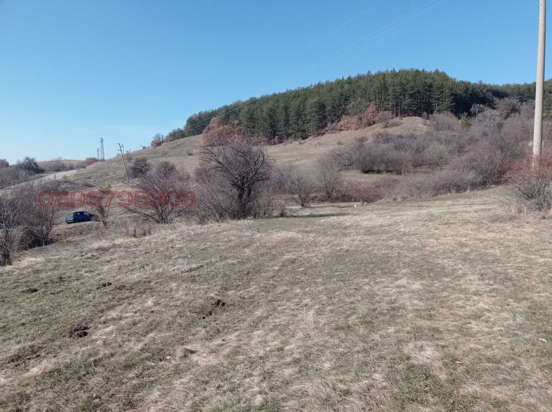 Продава ПАРЦЕЛ, с. Люлин, област Перник, снимка 6 - Парцели - 52779596