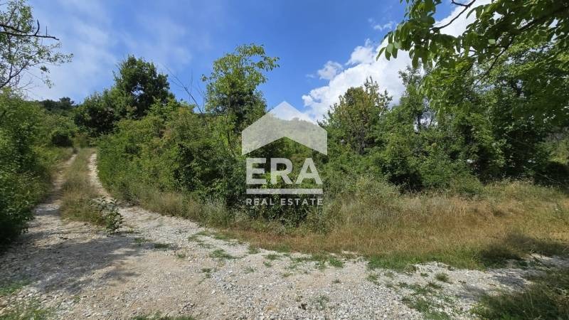 Продава ПАРЦЕЛ, с. Шереметя, област Велико Търново, снимка 2 - Парцели - 55541342