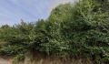Продава ПАРЦЕЛ, гр. София, гр. Нови Искър, снимка 4