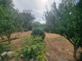 Продава КЪЩА, област Плевен, с. Брестовец • 70000 € • 47469840 — Holmes.bg
