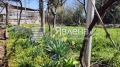 Продава КЪЩА, област София, с. Челопеч • 55000 € • 50220454 — Holmes.bg
