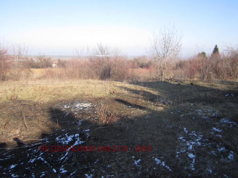 ������� ������ | Imot.bg � ����������� 5