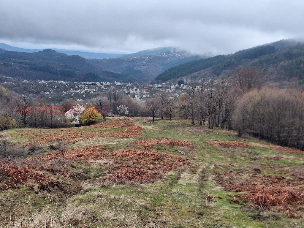 ������� ���� | Imot.bg � ����������� 5