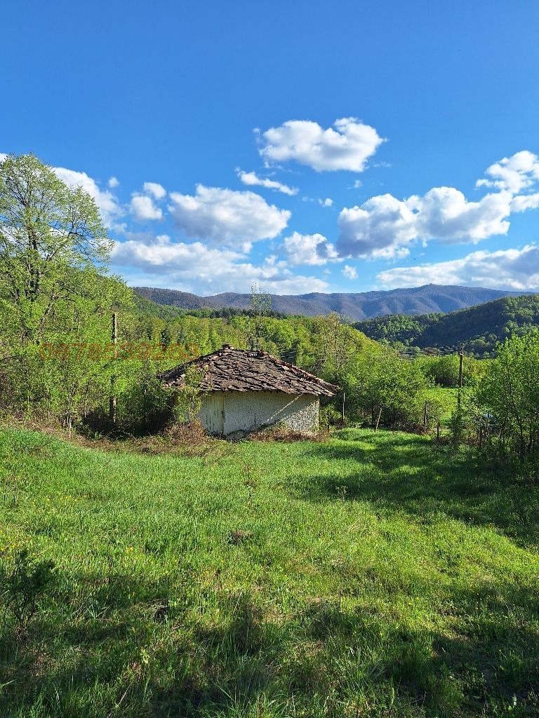 Продава КЪЩА, с. Костел, област Велико Търново, снимка 3 - Къщи - 53955192