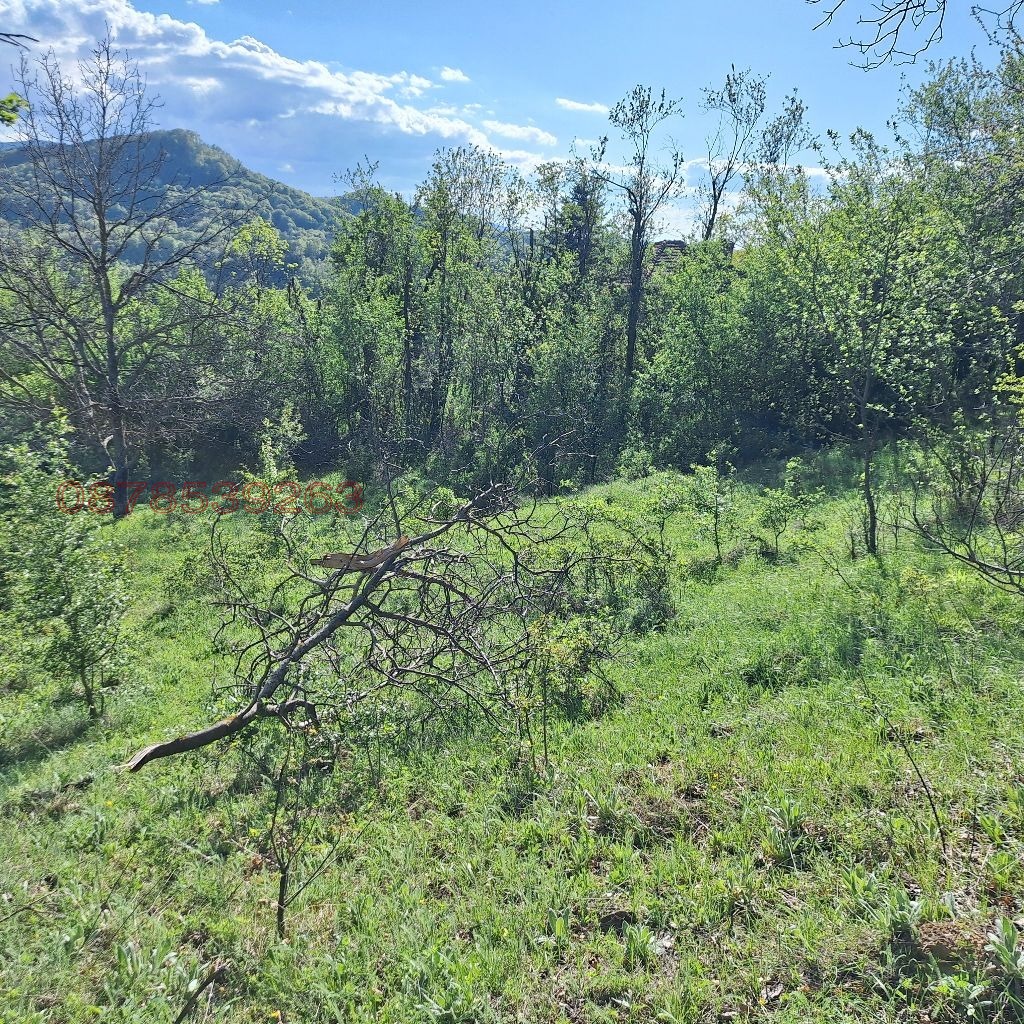 Продава КЪЩА, с. Костел, област Велико Търново, снимка 13 - Къщи - 53955192