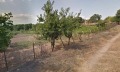 Продава КЪЩА, с. Паницово, област Бургас, снимка 2