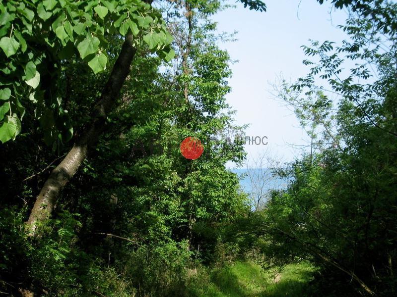 Продава ПАРЦЕЛ | Imot.bg — изображение 5