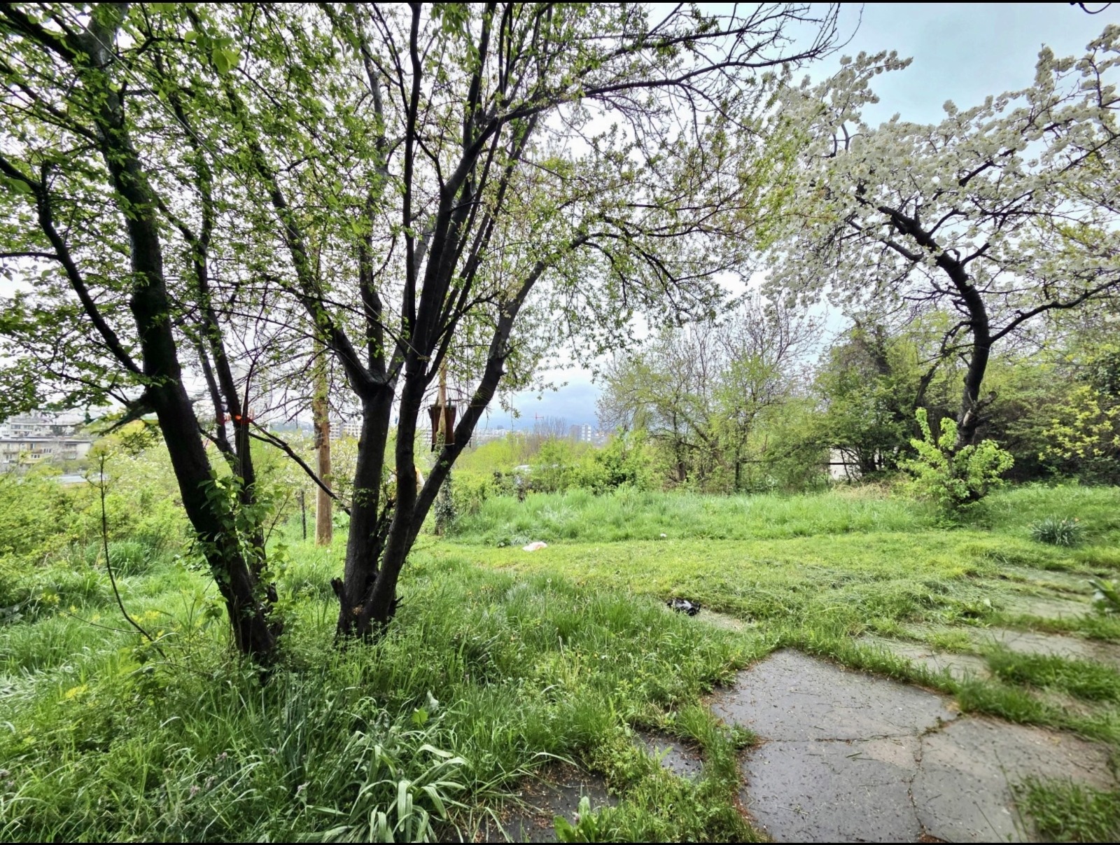 ������� ���� | Imot.bg � ����������� 6