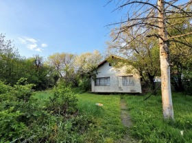 ������ ������� ����