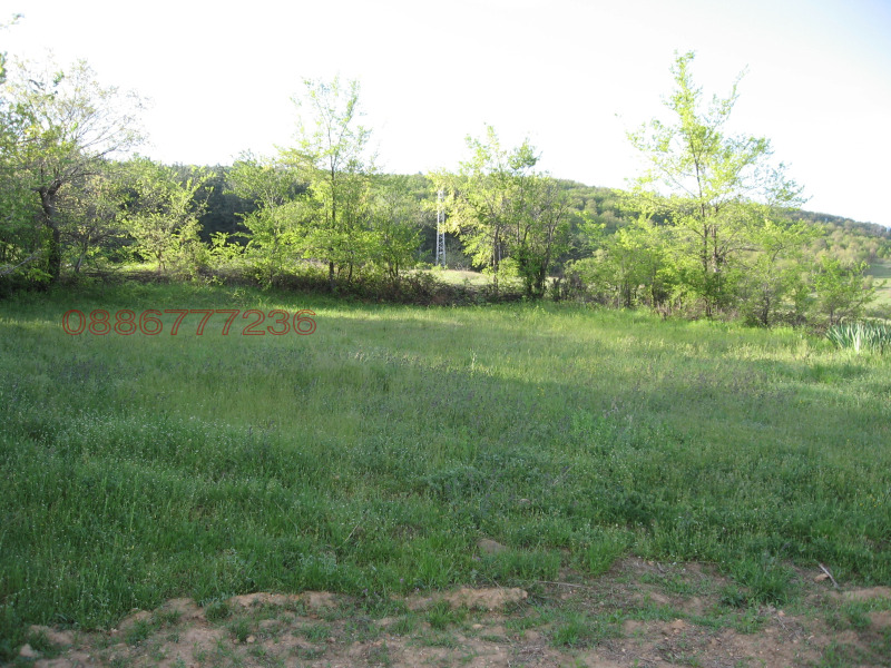 Продава КЪЩА, с. Главан, област Стара Загора, снимка 6 - Къщи - 52782317