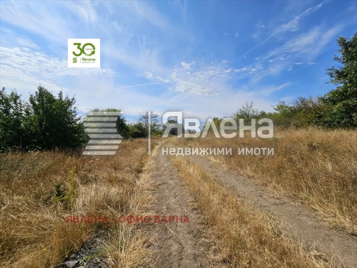 Продава ПАРЦЕЛ, с. Бенковски, област Варна, снимка 5 - Парцели - 55496332