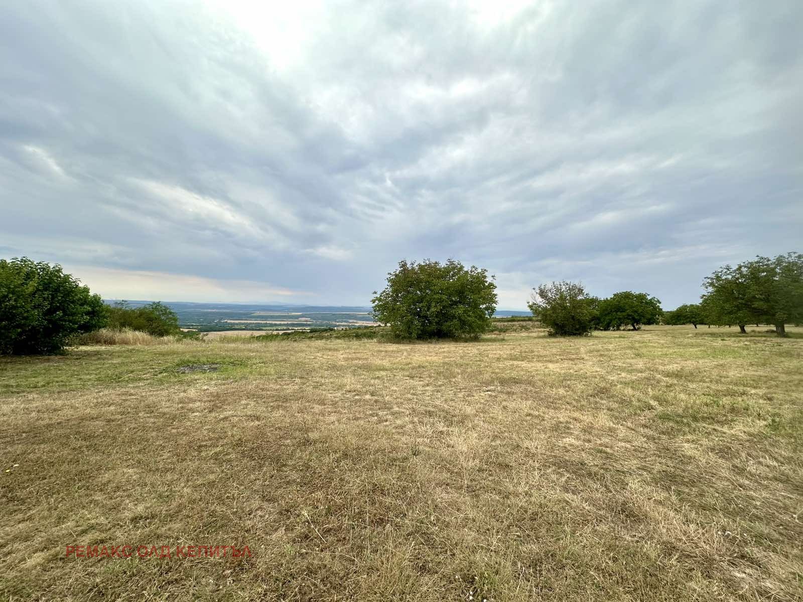 Продава ПАРЦЕЛ, с. Дъскот, област Велико Търново, снимка 2 - Парцели - 51063601