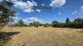 Продава КЪЩА, с. Калояново, област Пловдив, снимка 14