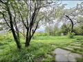Продава  Къща град София , Факултета , 42 кв.м | 49402229 - изображение [6]