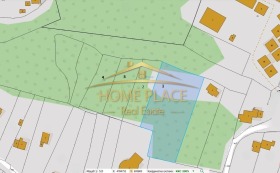 ����� ������� ������,���� �����, ����������