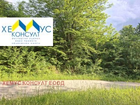������� ������ | Imot.bg � ����� ������ 6