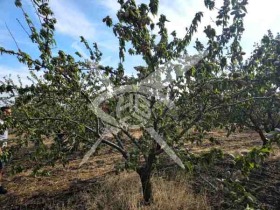 ������� ���������� ���� | Imot.bg � ����� ������ 3