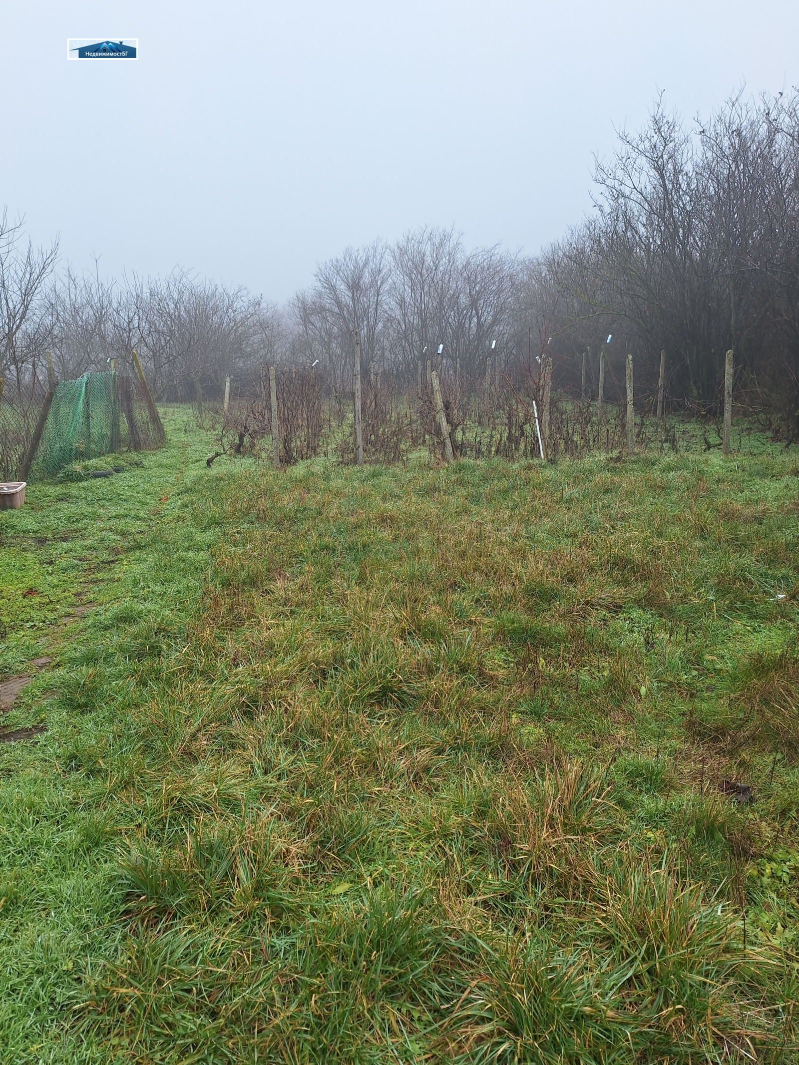 Продава КЪЩА, с. Стожер, област Добрич, снимка 13 - Къщи - 53723856