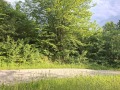 Продава ПАРЦЕЛ, с. Голяма Желязна, област Ловеч, снимка 6