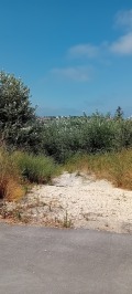 Продава ПАРЦЕЛ, област Варна, гр. Бяла • 150000 € • 18731481 — Holmes.bg