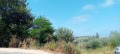Продава ПАРЦЕЛ, област Варна, гр. Бяла • 150000 € • 18731481 — Holmes.bg